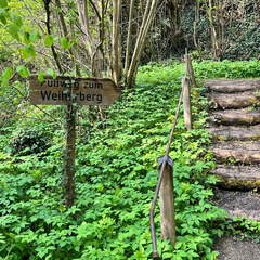 22-04-25 10-29-46 0609